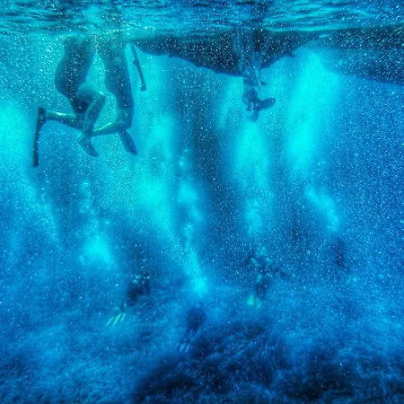 Dino Domus 아파트 이글레시아스