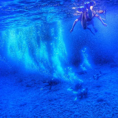 Dino Domus * 이글레시아스