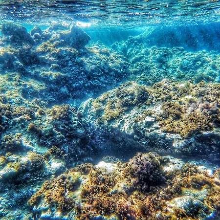 Dino Domus Апартаменты